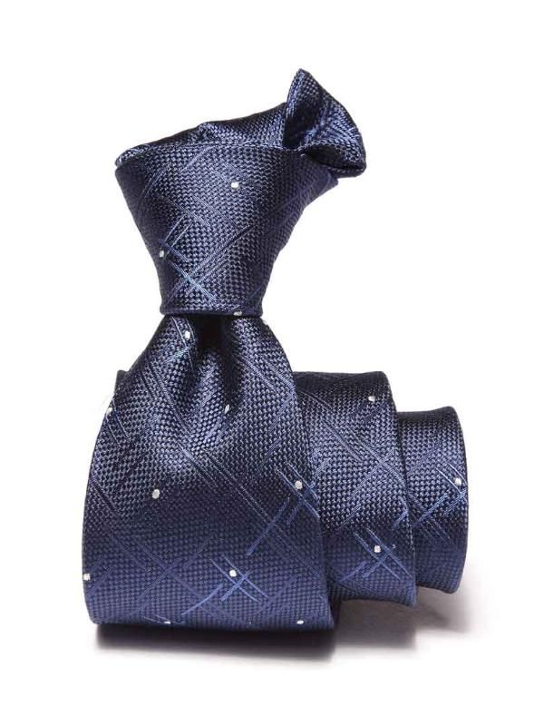 Campania Checks Dark Blue Silk Tie