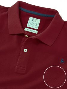 z3_t_shirts_polo2_001_zrs_solid_100_cotton_hsnc_cac_maroon_30_01.jpg