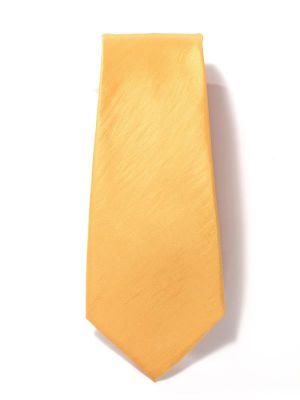 Kingston Solid Medium Gold Polyester Tie