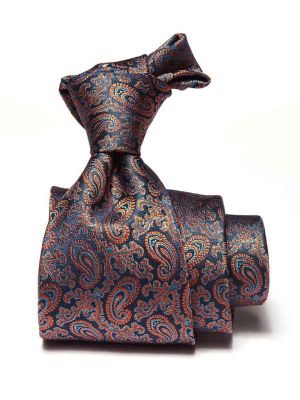 Torino Paisleys Navy Silk Tie