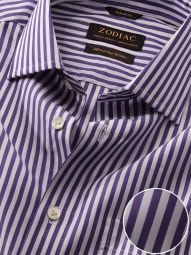 barboni stripe purple ctn shirts