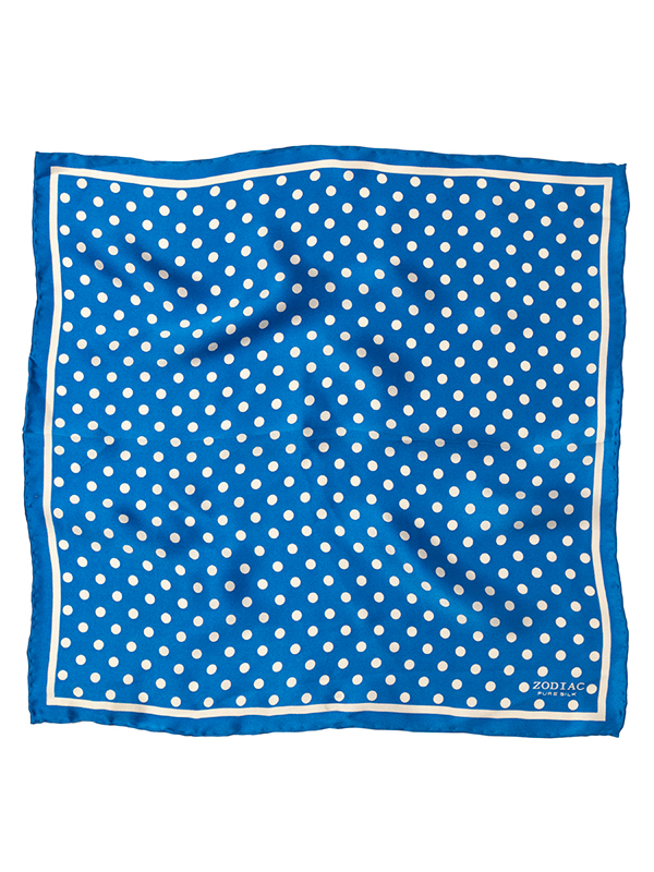 Blue Printed Polka Dot Pochette
