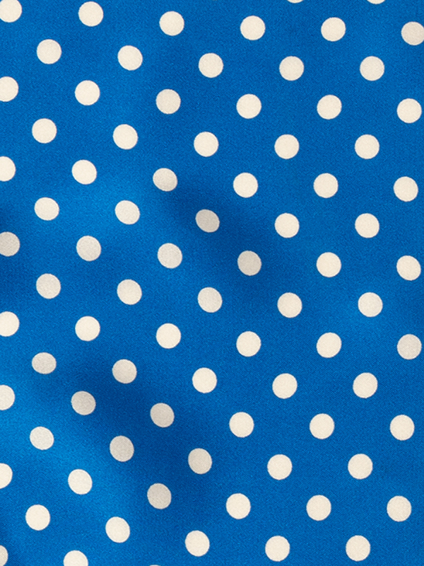 Blue Printed Polka Dot Pochette