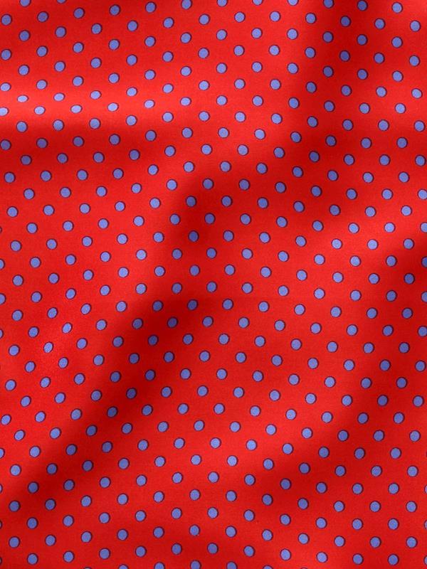 Red Printed Polka Dot Pochette