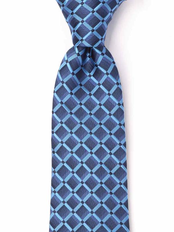 Panaro Checks Dark Blue Silk Tie