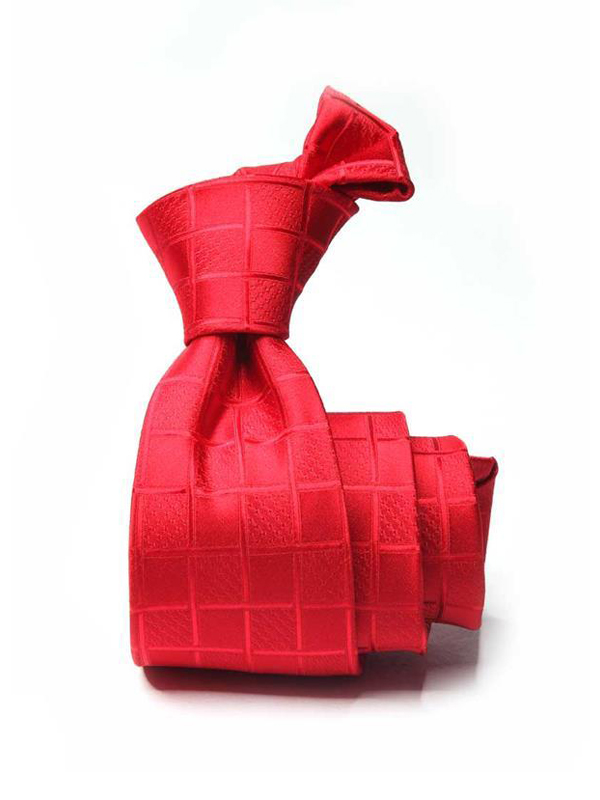 Savona Checks Medium Red Polyester Tie