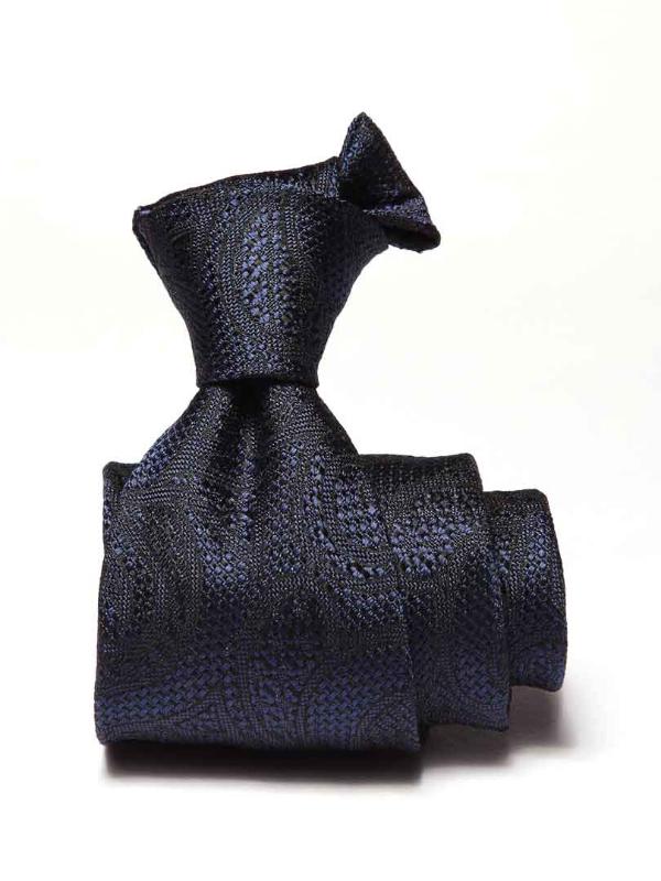 Torino Paisleys Navy Silk Tie