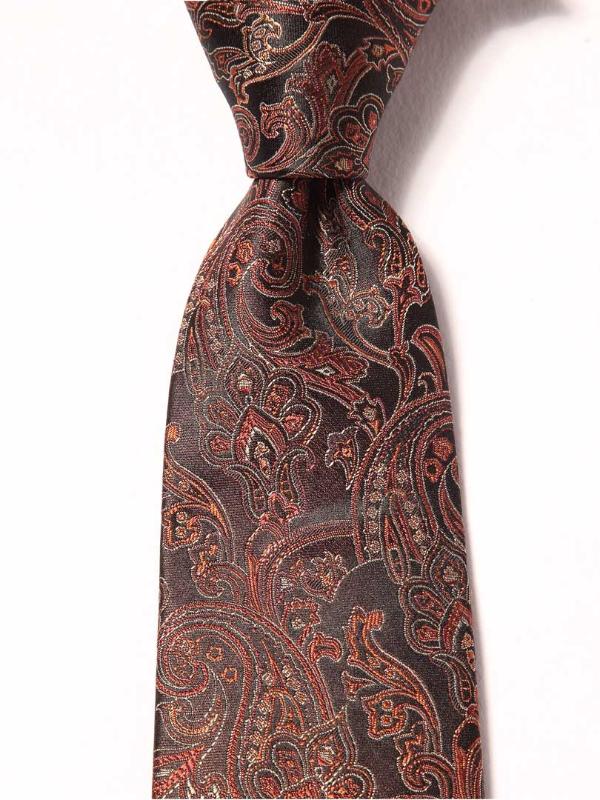 Torino Paisleys Dark Brown Silk Tie
